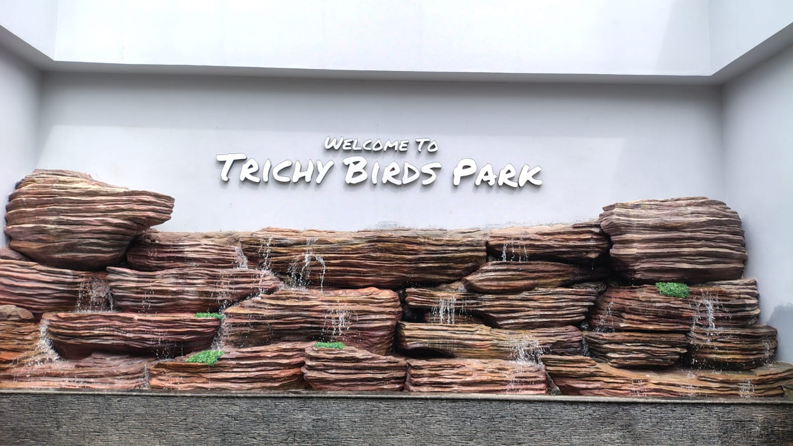 Student Picnic-Trichy Birds Park cum Aviary